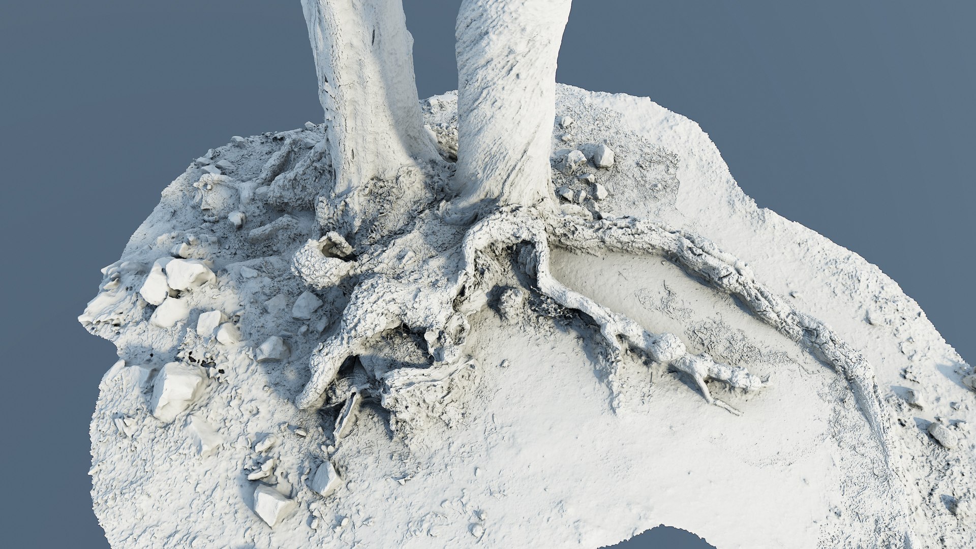 3D treeroots01 - TurboSquid 1963791