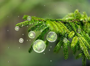 water drops