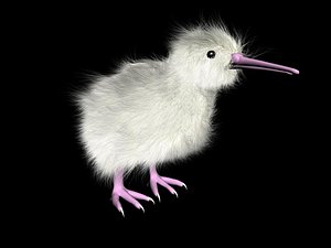 Manukura The White Kiwi(1)