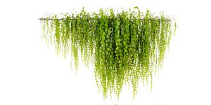 Collection plant vol 443 - blender model 3D model