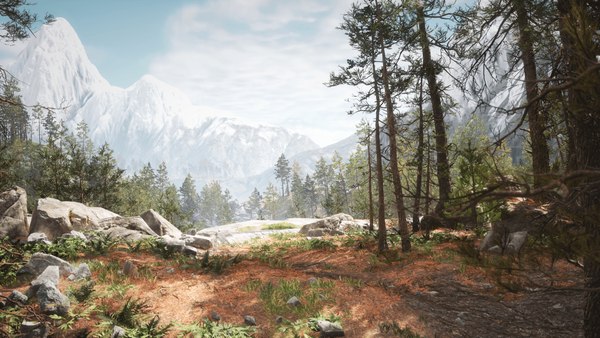 Rocky Pine Forest Biome model - TurboSquid 1869138