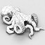 Octopus5