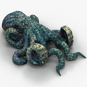 3d model octopus