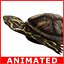 turtle rigged animation sea 3d model