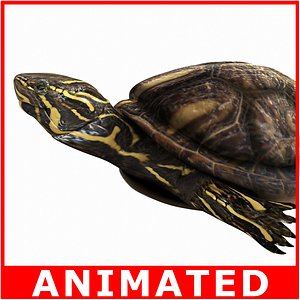 Turtle (Rigged and Animated)