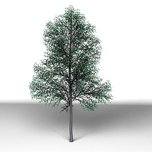 3d tree modo