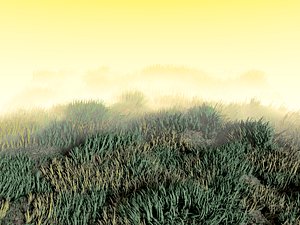 pack grass clumps 3ds