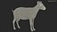 Chèvre Saanen Breed Rigged Fur