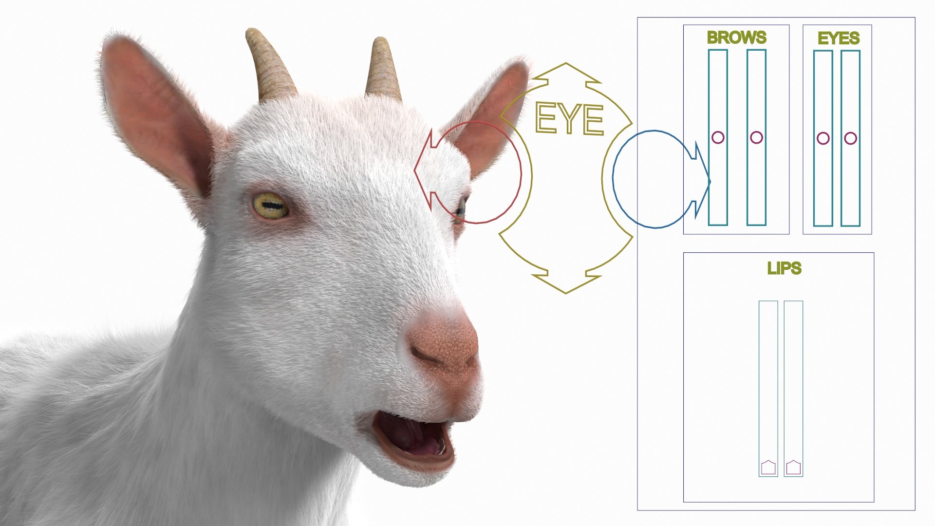 Goat Saanen Breed Rigged Fur 3D model https://p.turbosquid.com/ts-thumb/7M/PHa29x/tW/goatsaanenbreedriggedfurc4dmodel004/jpg/1669203319/1920x1080/fit_q87/6093de67a35758f71edef7d789bc96284cd4f74a/goatsaanenbreedriggedfurc4dmodel004.jpg