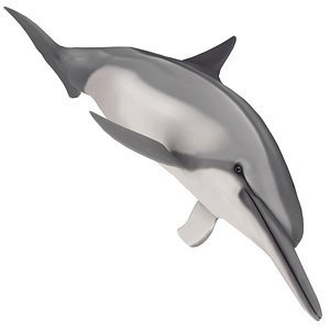 spinner dolphin 3D model