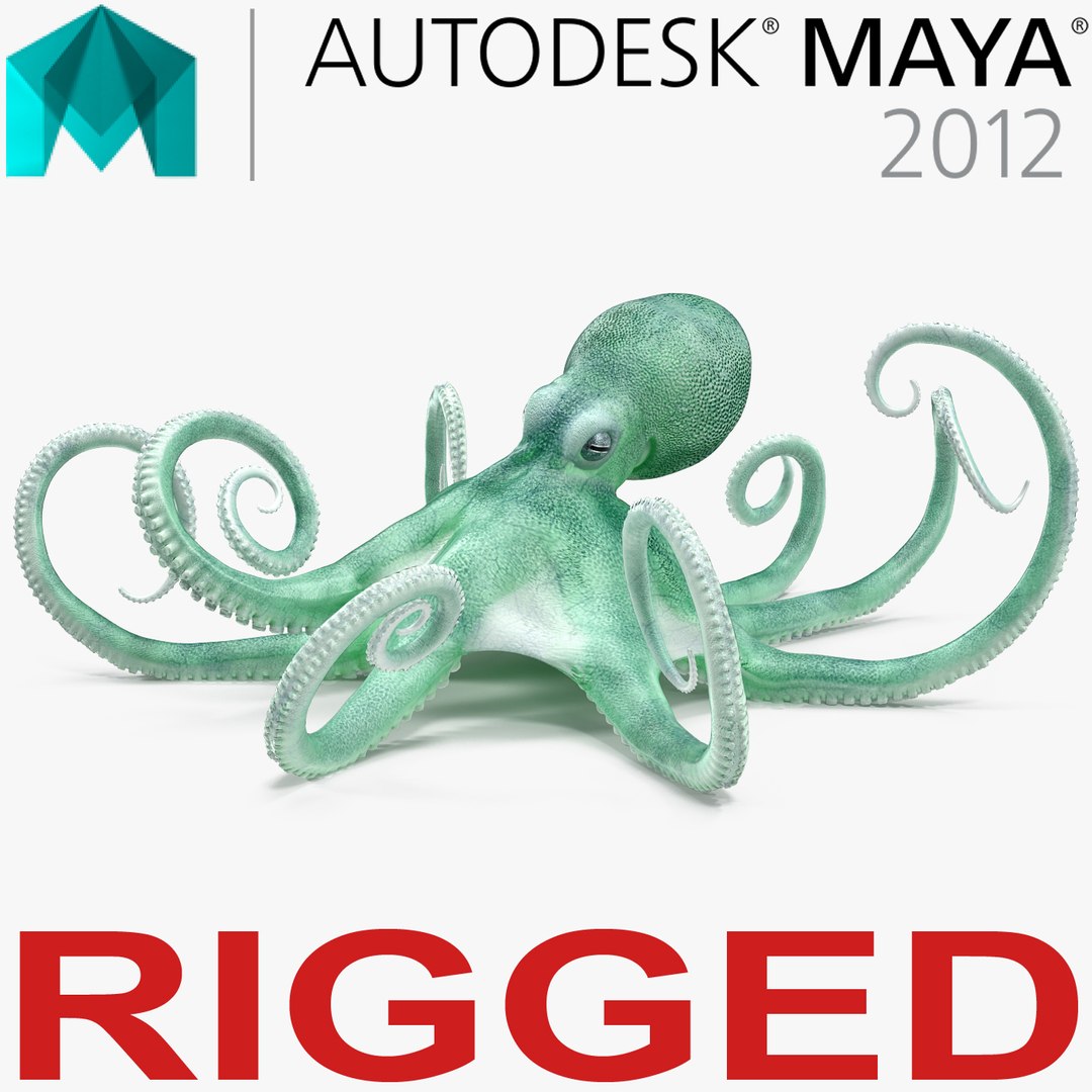 Blue Octopus Rigged for Maya 3D model preview
