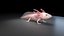 axolotl - 3D model