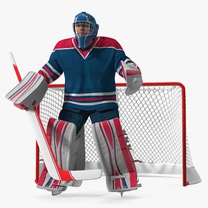 Goalie and Hockey Goal