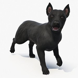 Mongrel Dog Dark Rigged for Cinema 4D 3D model