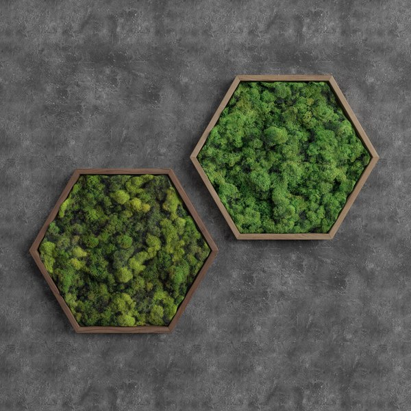 3D decorative moss plant model - TurboSquid 1400693