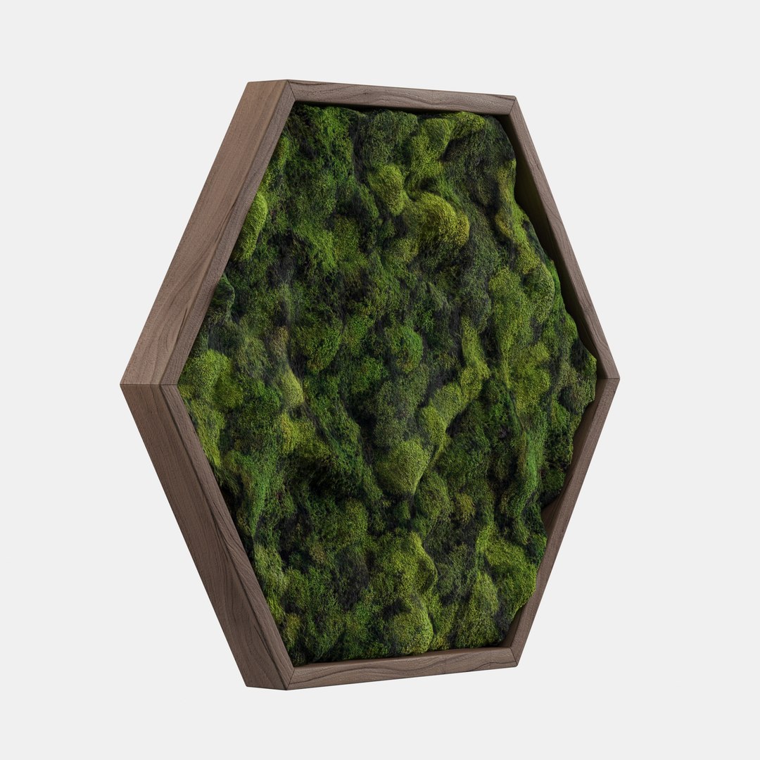 3D decorative moss plant model - TurboSquid 1400693