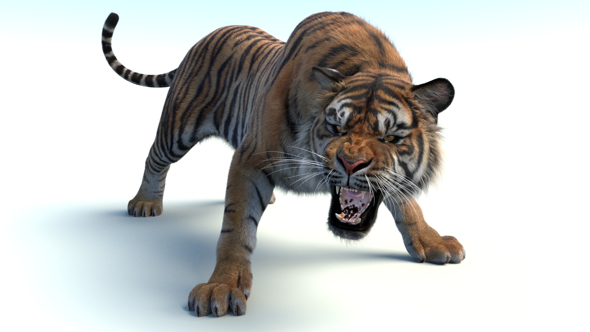 3D model Animated Sumatran Tiger Furry 3d Model https://p.turbosquid.com/ts-thumb/7M/oZvF1k/PZ/animated_sumatran_tiger_3d_model_fur17/jpg/1731231797/1920x1080/fit_q87/3387cc91f8f7795c94dc0c7c637c53dcabf53dbb/animated_sumatran_tiger_3d_model_fur17.jpg