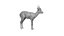 Springbok
