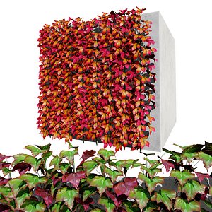 Virginia Creeper and Boston Ivy with Free Tutorial
