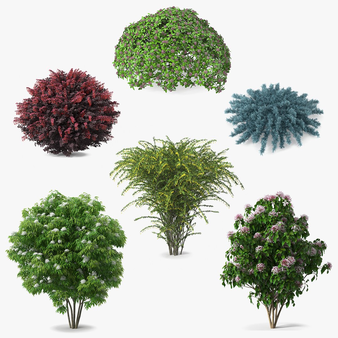 Bushes Collection 5 3D model preview