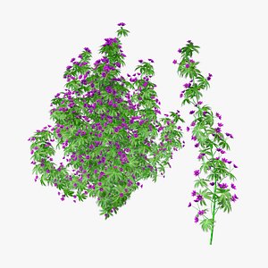 3D Rhododendron Flower Model 3D model