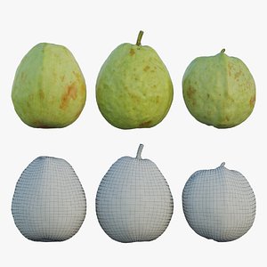 3D Guava 02 model