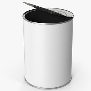 Opened Tin Can model