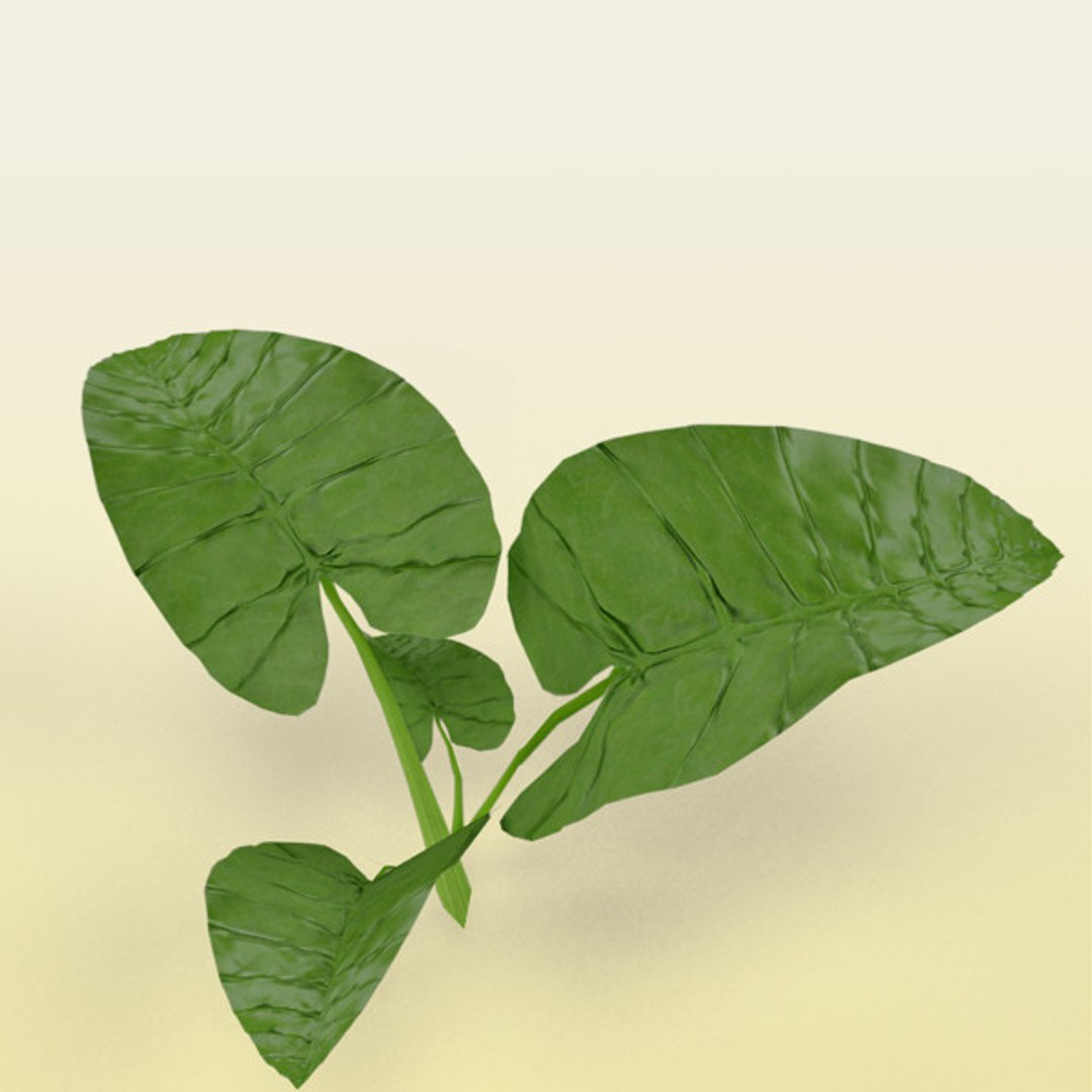 free leaves 3d model https://p.turbosquid.com/ts-thumb/7N/qMf3eL/7kqsAege/bushleaf/jpg/1330081476/1920x1080/fit_q87/16baea36f8648ccf0f8d6d9b97ece02b4824d38f/bushleaf.jpg
