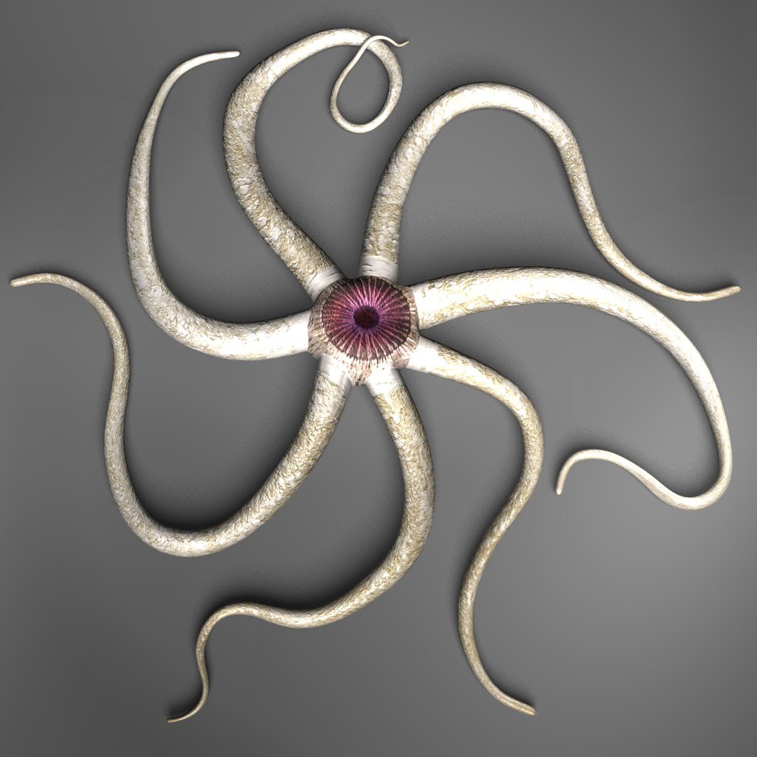 starfish alien creature 3d fbx