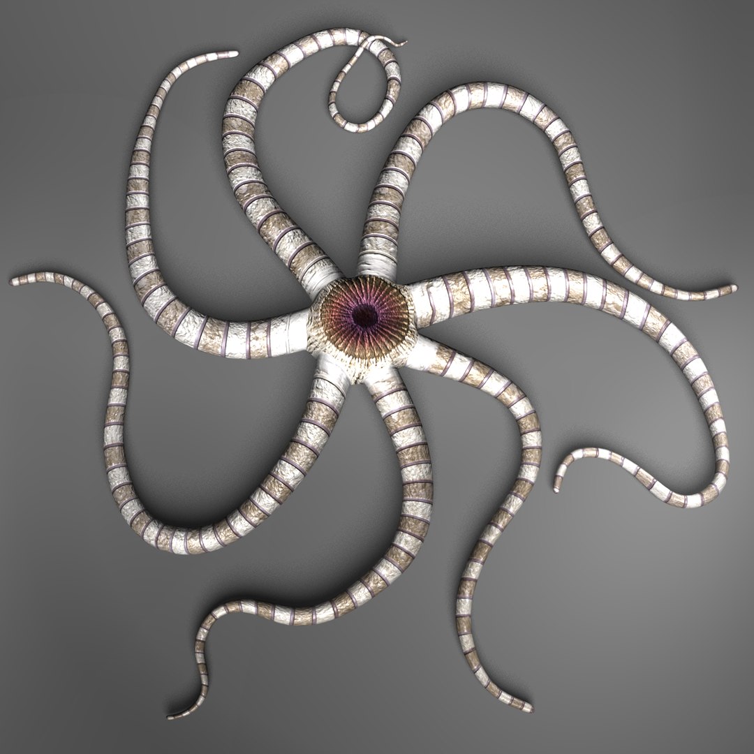 starfish alien creature 3d fbx