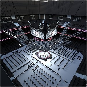 Arena Fighting MMA - 3D Model
