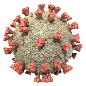 Coronavirus 3D covid-19 virus sars model model