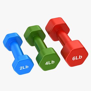 dumbbell set 3d x