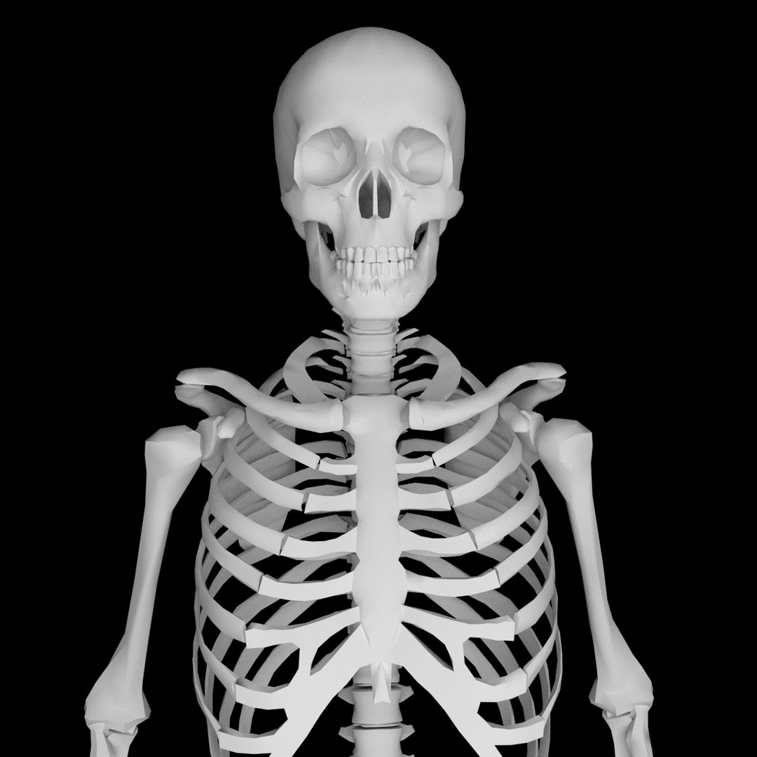 human skeleton obj https://p.turbosquid.com/ts-thumb/7O/EzAzn9/LPKmUyRo/skeleton2/png/1440372906/1920x1080/fit_q87/708d28fb5f6fee429d12e4c70a24c80188e47435/skeleton2.jpg
