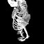 Human Skeleton Mdl