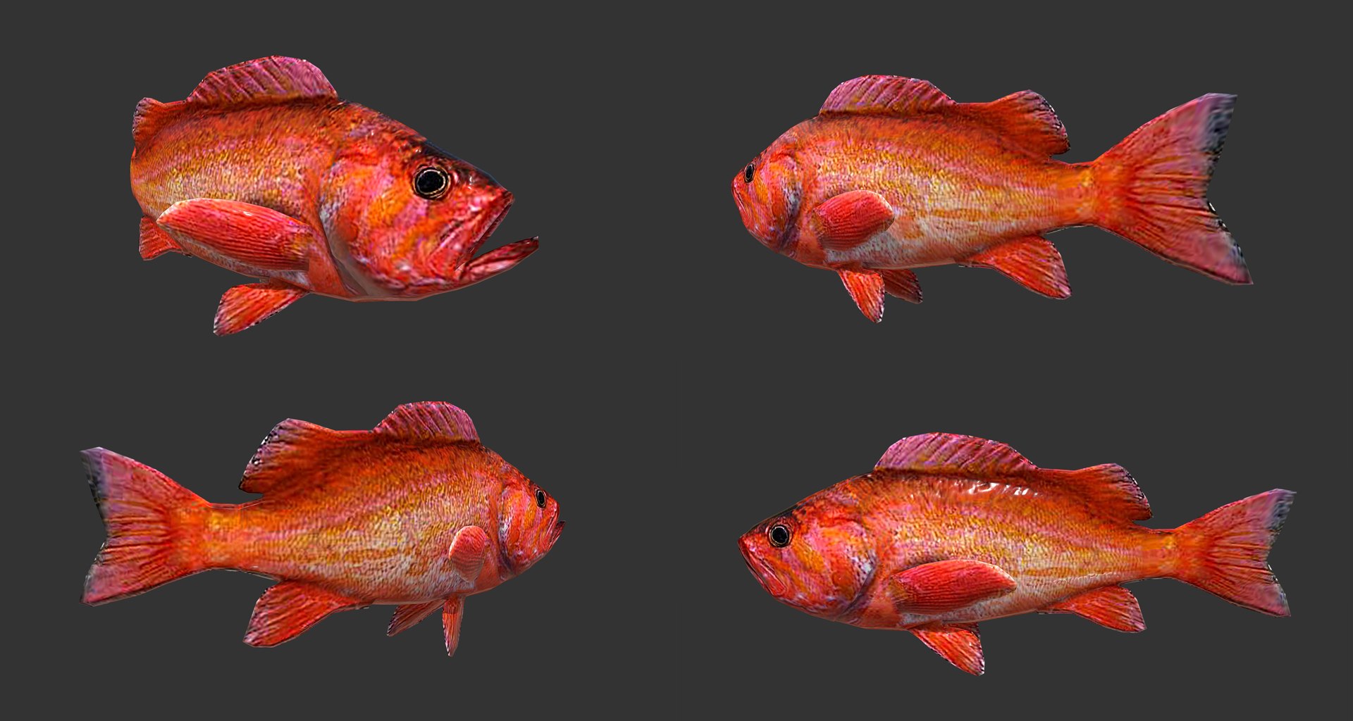 fish - ready pack 3 3D https://p.turbosquid.com/ts-thumb/7O/KLoEIk/5gAZZmqW/19/jpg/1530180208/1920x1080/fit_q87/d4f90164e2786969ca6106d5e1192fa1c1684293/19.jpg