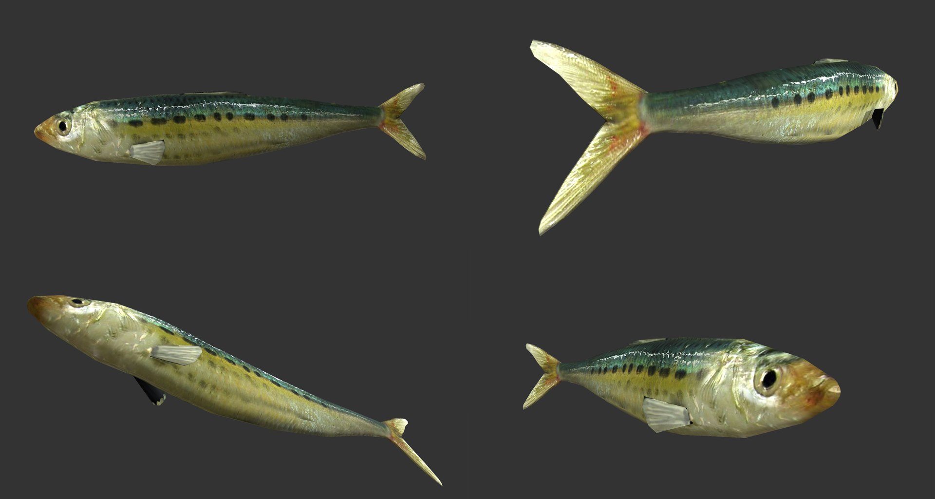 fish - ready pack 3 3D https://p.turbosquid.com/ts-thumb/7O/KLoEIk/71xRLkoz/13/jpg/1530180208/1920x1080/fit_q87/d39312e9cab23807ca052e6784682c768ab5fd21/13.jpg