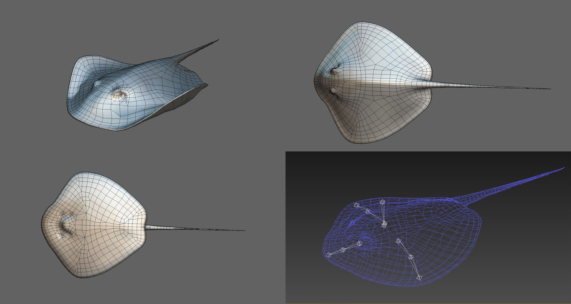 fish - ready pack 3 3D https://p.turbosquid.com/ts-thumb/7O/KLoEIk/8IHHoNXc/4/jpg/1530180208/1920x1080/fit_q87/aefcf4d7a8e3c276200803d8a06654eb1dbed4a6/4.jpg
