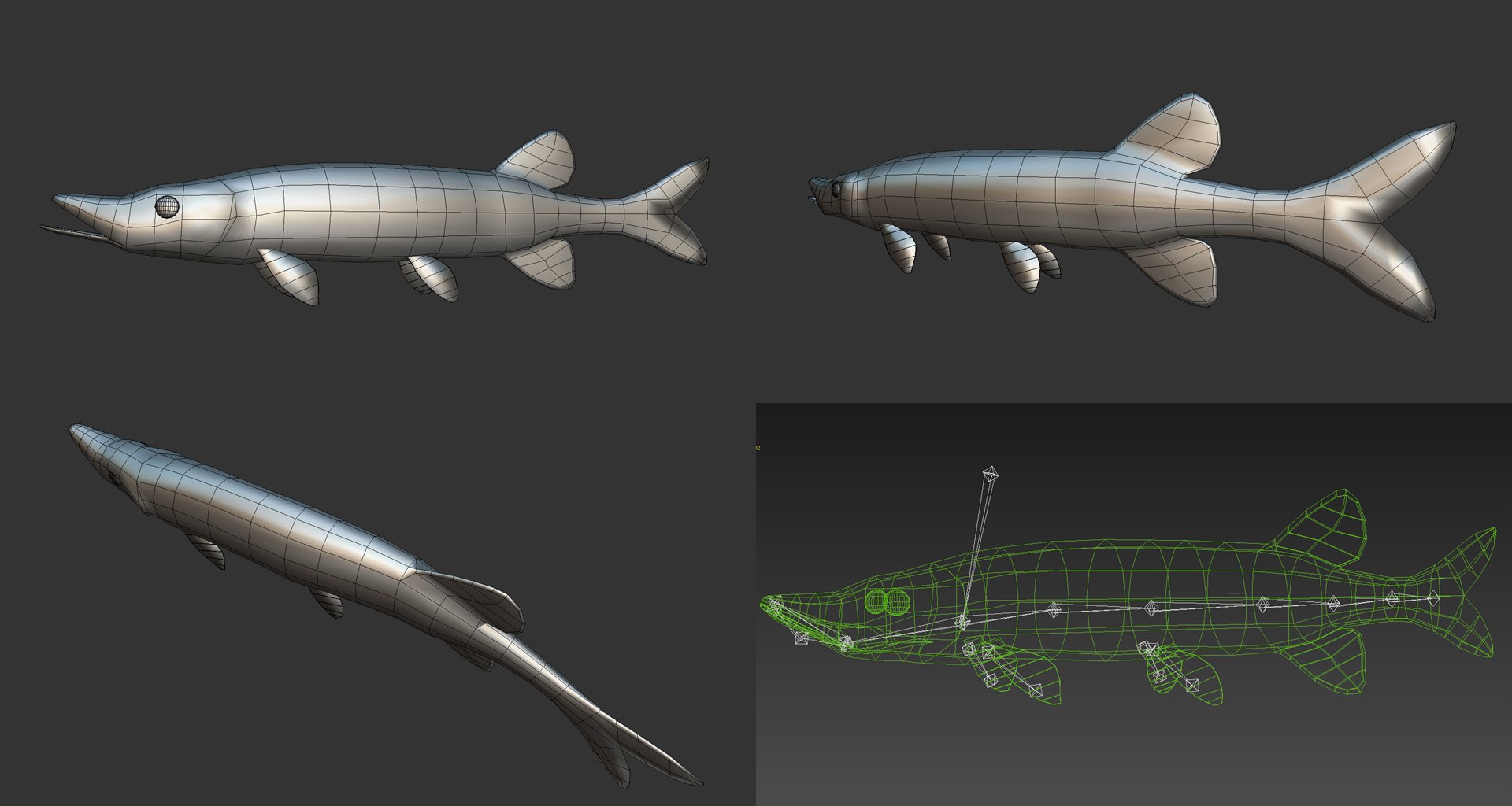 fish - ready pack 3 3D https://p.turbosquid.com/ts-thumb/7O/KLoEIk/DMldLBJl/24/jpg/1530180208/1920x1080/fit_q87/039e82c096229d40fdb211018a4eb65349f6cf7e/24.jpg