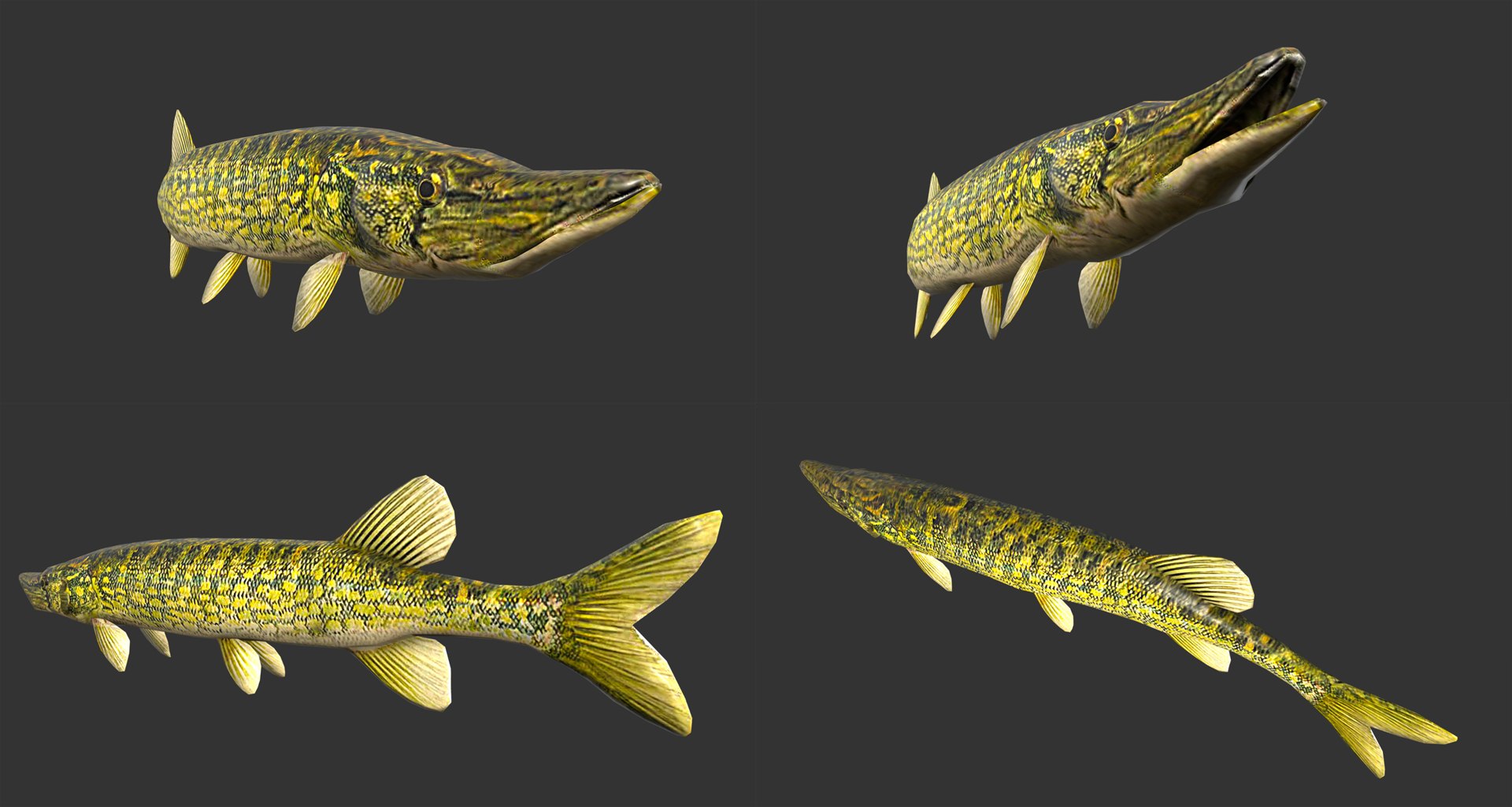 fish - ready pack 3 3D https://p.turbosquid.com/ts-thumb/7O/KLoEIk/HWEOTluJ/25/jpg/1530180208/1920x1080/fit_q87/ea2b2cfe79d04f672c9843dadf5be384404edbe1/25.jpg