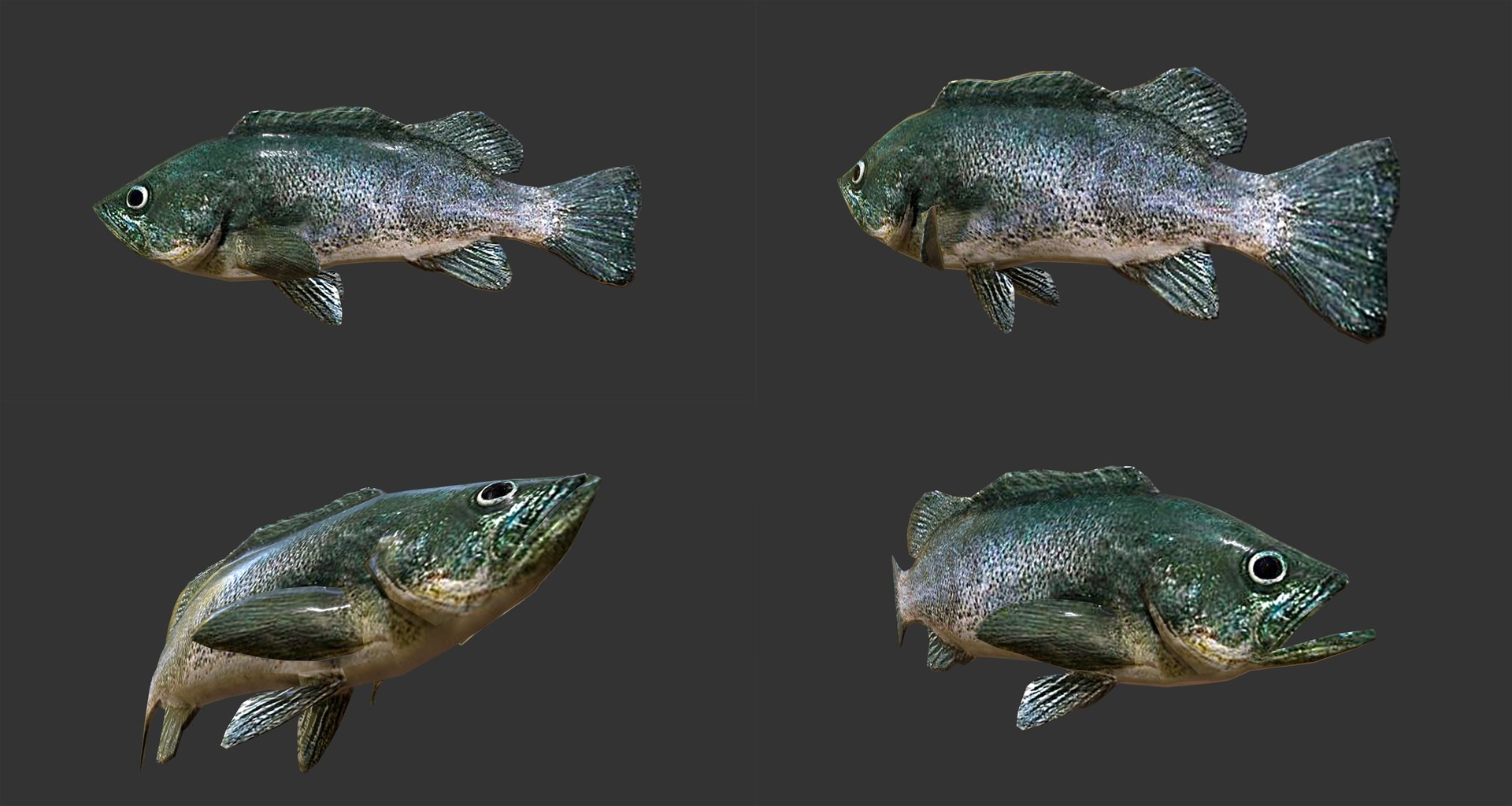 fish - ready pack 3 3D https://p.turbosquid.com/ts-thumb/7O/KLoEIk/IJoBiqfe/15/jpg/1530180208/1920x1080/fit_q87/1ad9ada505f8ed750eff72b20d2f8b1b55826dff/15.jpg