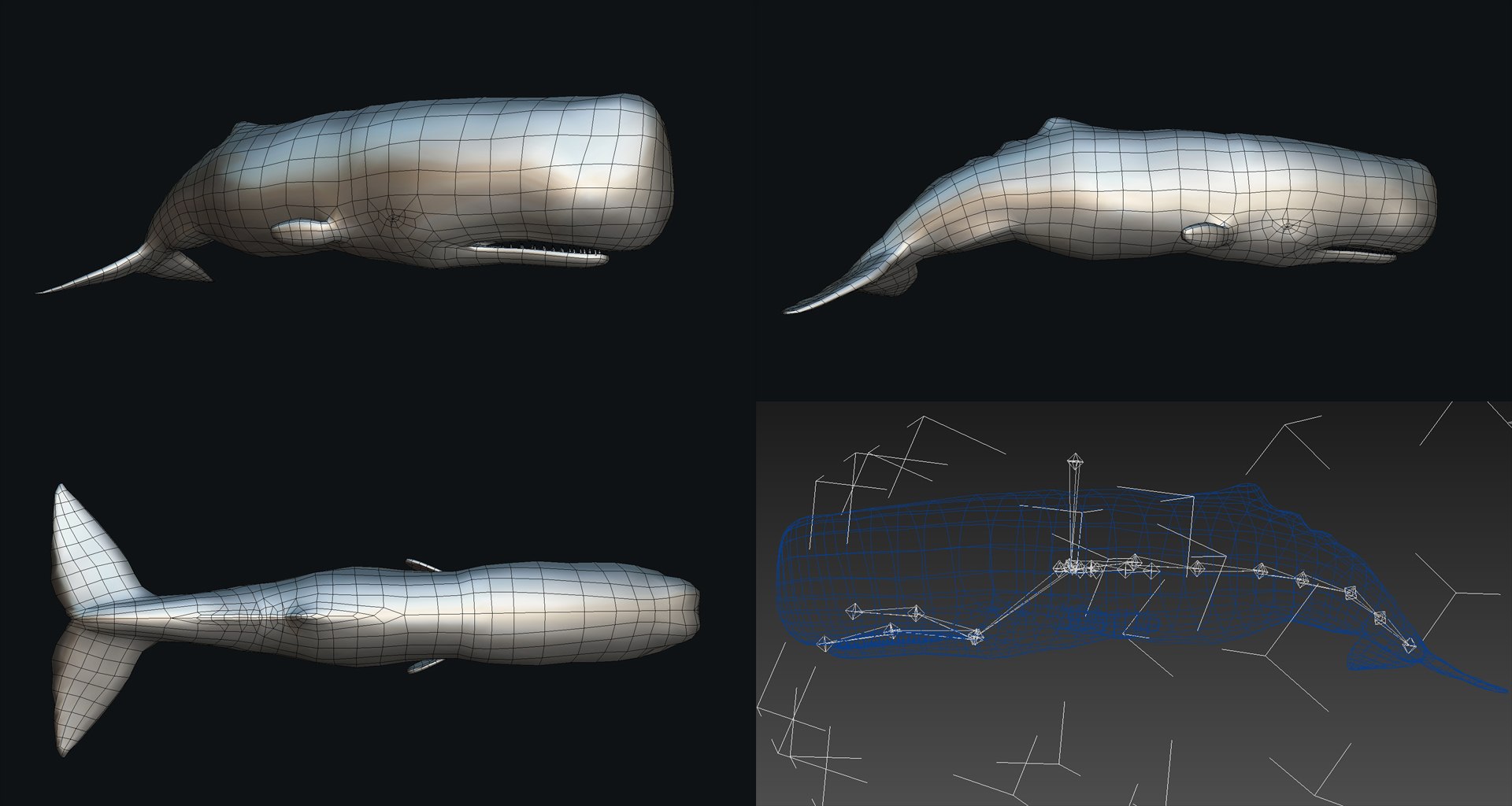 fish - ready pack 3 3D https://p.turbosquid.com/ts-thumb/7O/KLoEIk/KFSEWaPq/8/jpg/1530180208/1920x1080/fit_q87/fa00b8f7722b66dd928012e30b1768f6b2ed7319/8.jpg
