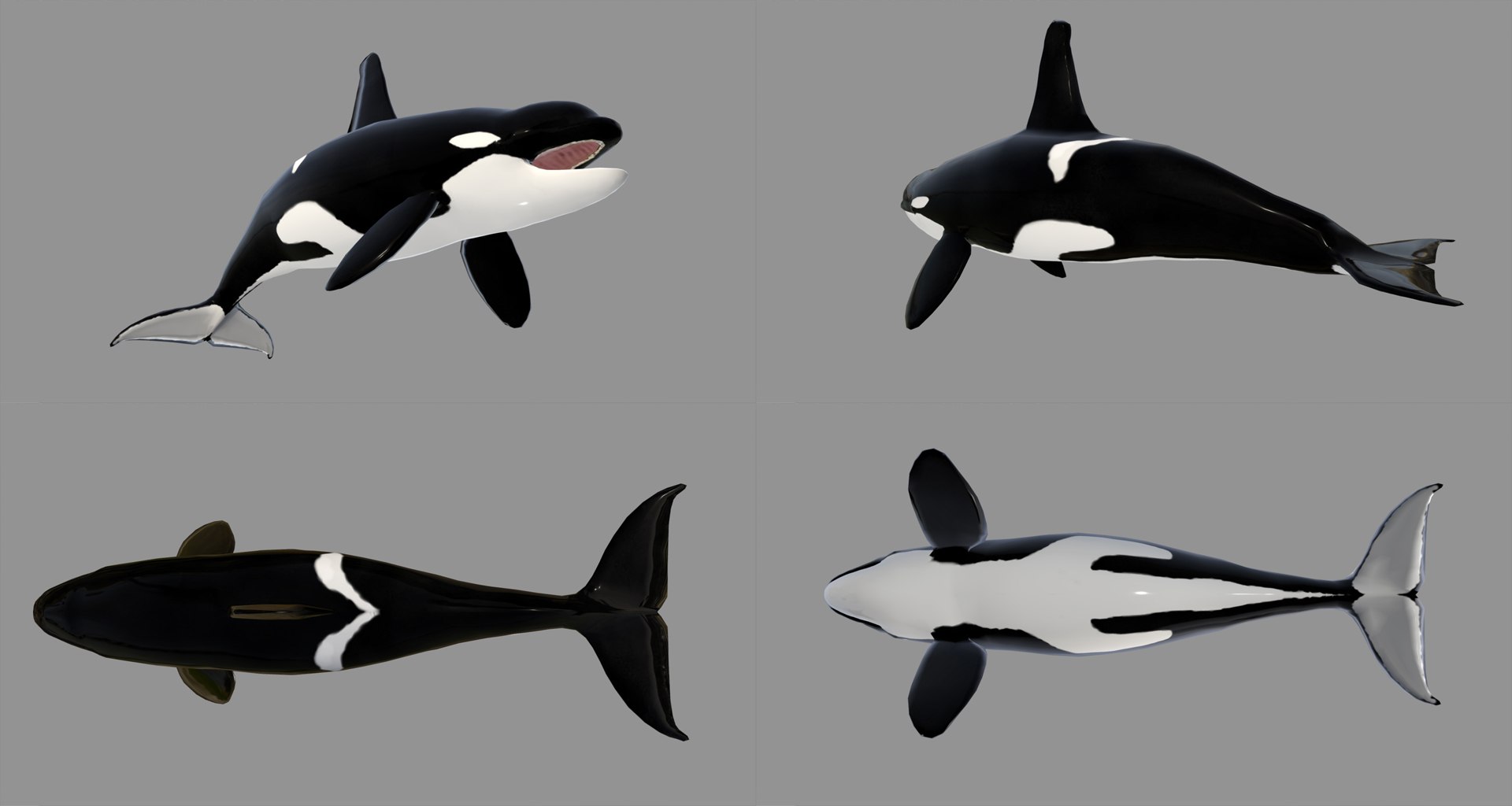 fish - ready pack 3 3D https://p.turbosquid.com/ts-thumb/7O/KLoEIk/L4nIG8tX/35/jpg/1530180209/1920x1080/fit_q87/db9a6fb407fbafbc0bd1f152c5b87560482cae14/35.jpg