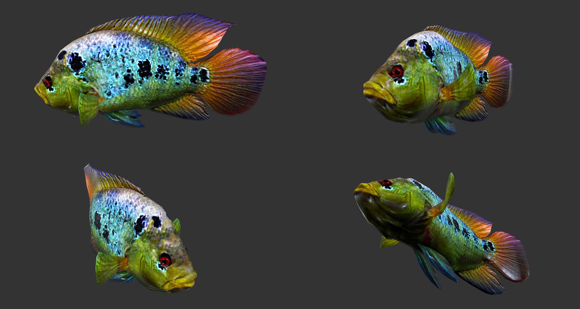 fish - ready pack 3 3D https://p.turbosquid.com/ts-thumb/7O/KLoEIk/MK7l9YIt/21/jpg/1530180208/1920x1080/fit_q87/cb57ee83f9300dc11a03e6615830ff93ca171423/21.jpg