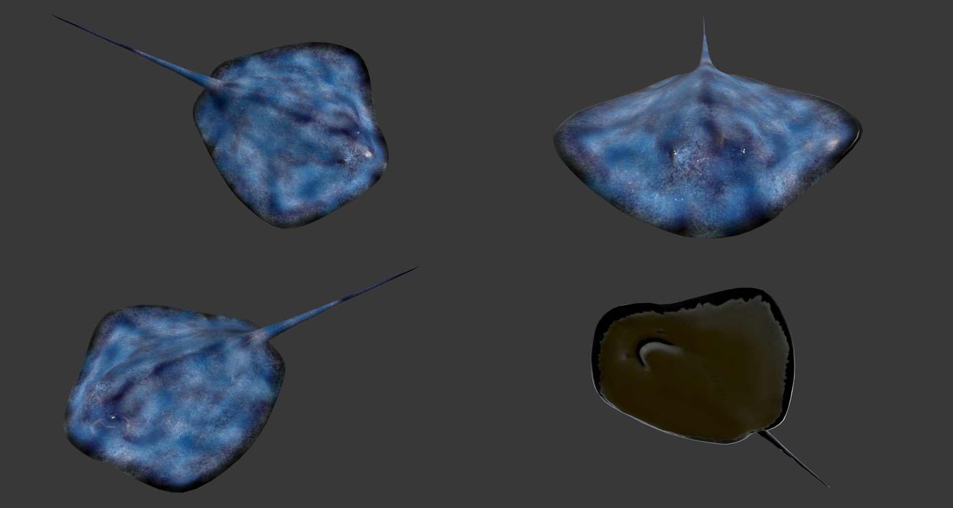 fish - ready pack 3 3D https://p.turbosquid.com/ts-thumb/7O/KLoEIk/QPTshjOi/3/jpg/1530180208/1920x1080/fit_q87/e165da5174a0b6f2962b9f09b9397723b46d3867/3.jpg