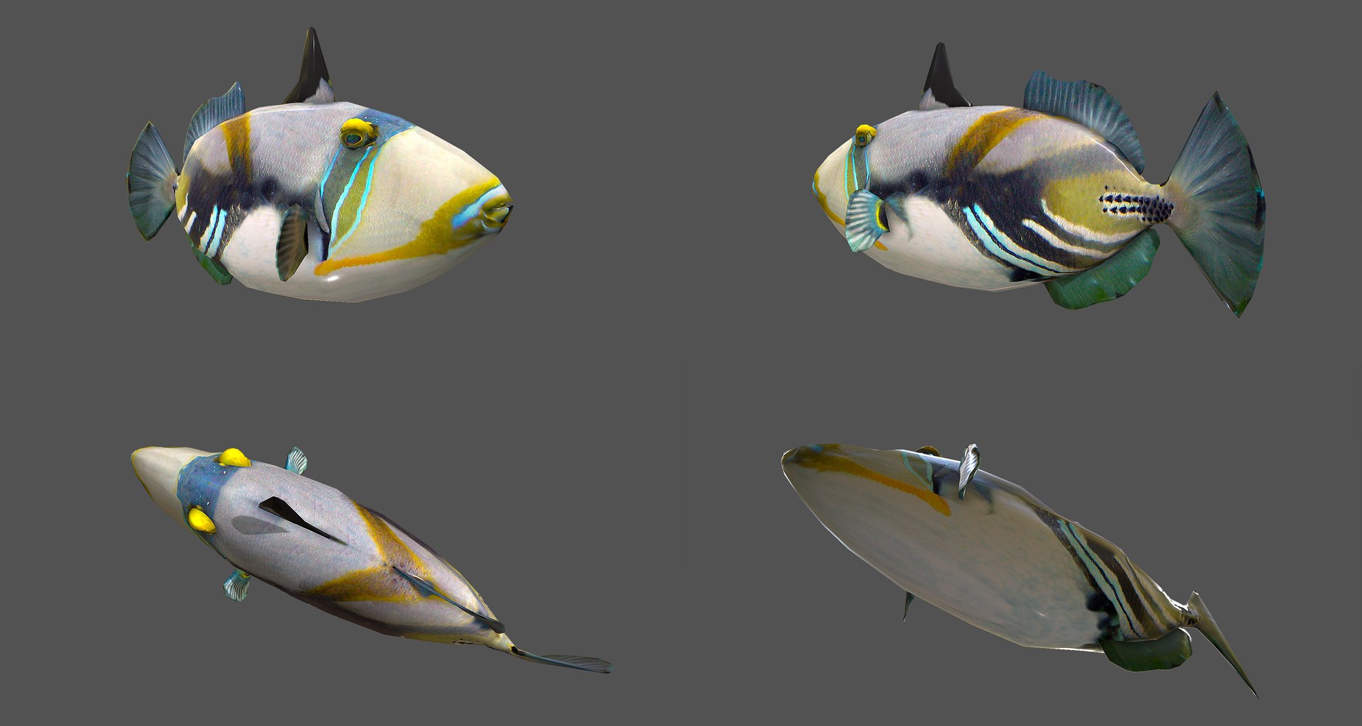 fish - ready pack 3 3D https://p.turbosquid.com/ts-thumb/7O/KLoEIk/TAJOUDWL/27/jpg/1530180208/1920x1080/fit_q87/5e24f022421a5b7770137d317971ee82806a75a1/27.jpg