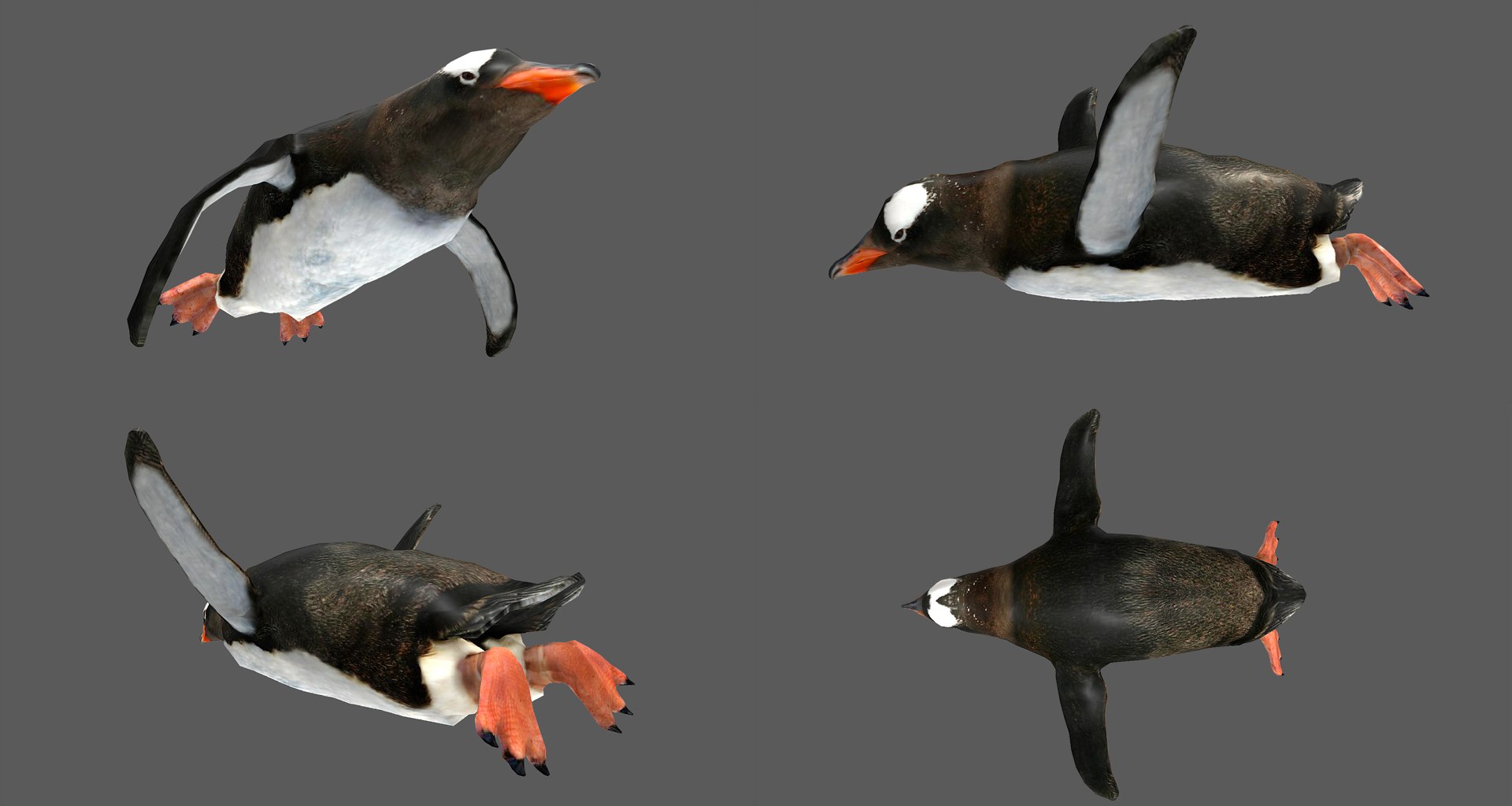 fish - ready pack 3 3D https://p.turbosquid.com/ts-thumb/7O/KLoEIk/qJ7kunGt/29/jpg/1530180209/1920x1080/fit_q87/d19e892b096cf9c786202078cc645c3b80a47c89/29.jpg