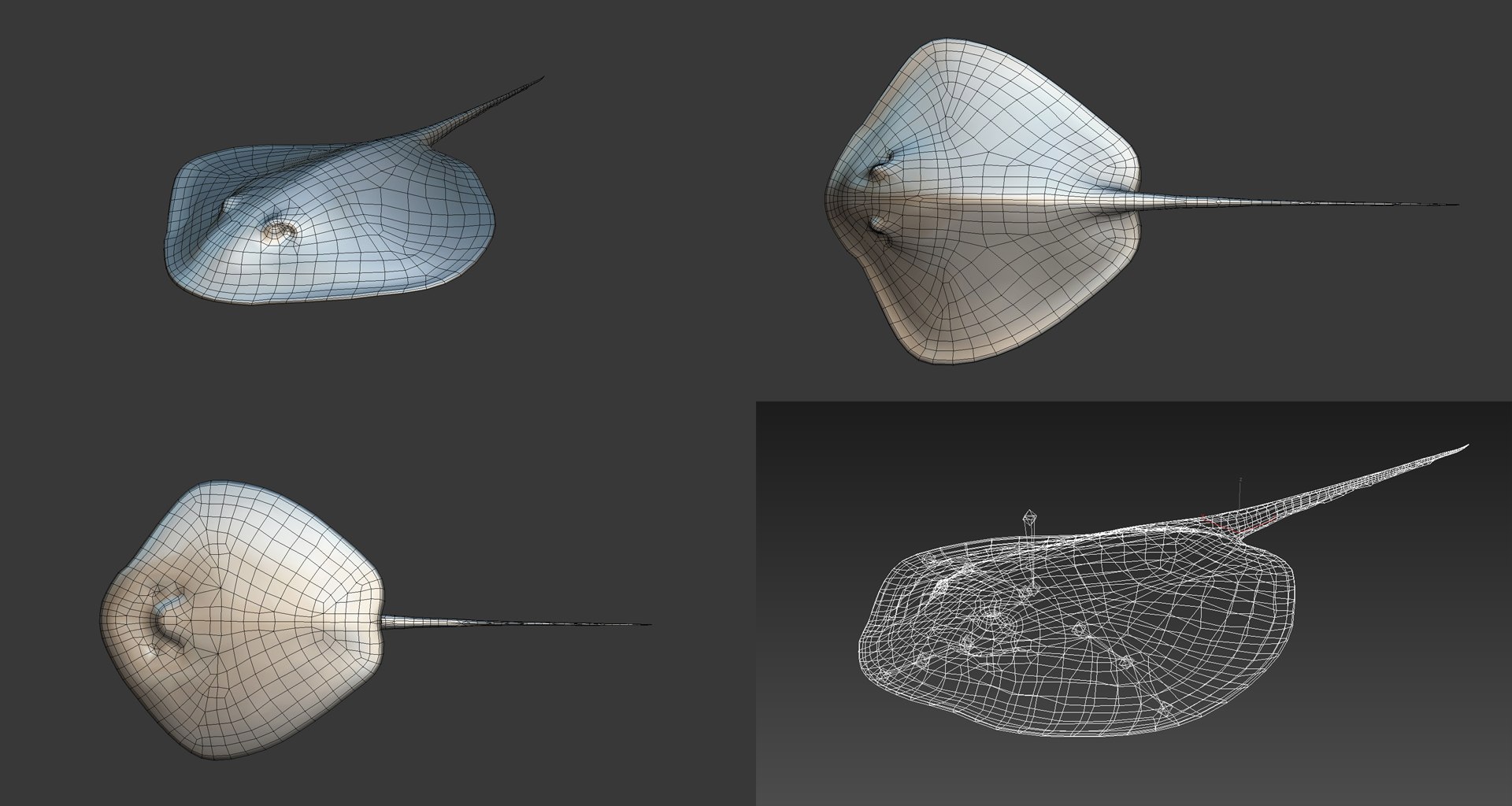 fish - ready pack 3 3D https://p.turbosquid.com/ts-thumb/7O/KLoEIk/t8vsNfq0/2/jpg/1530180208/1920x1080/fit_q87/96861ab3c111b2fd8b1605c93084e03c9f0c1bc6/2.jpg