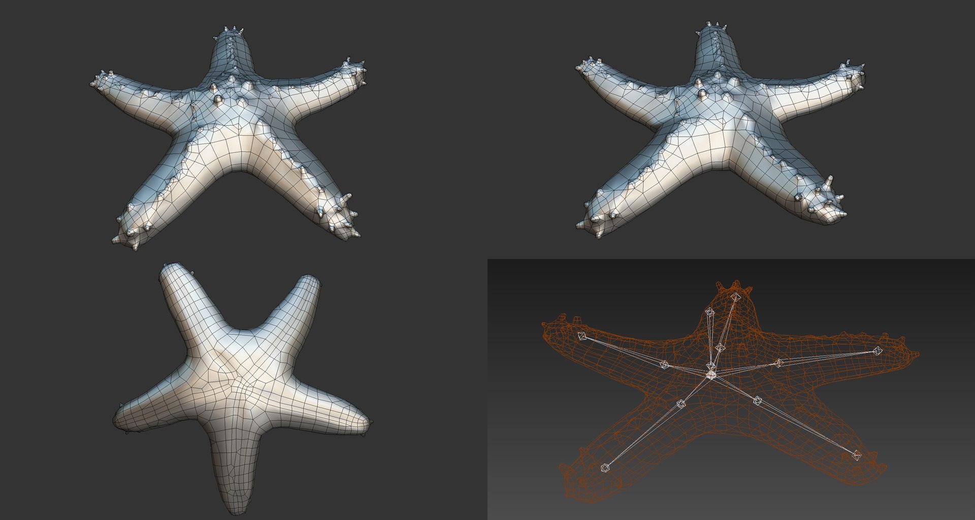 fish - ready pack 3 3D https://p.turbosquid.com/ts-thumb/7O/KLoEIk/tgpmFFGp/6/jpg/1530180208/1920x1080/fit_q87/c87790c6f7ef250ac70d9ad8030799c9b79f9cdf/6.jpg