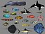 fish - ready pack 3 3D